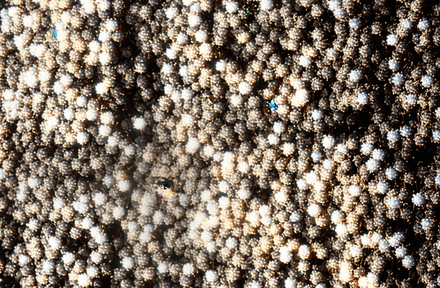 Trang phục giúp Phương Mỹ Chi tỏa sáng ở ‘Sing! Asia’